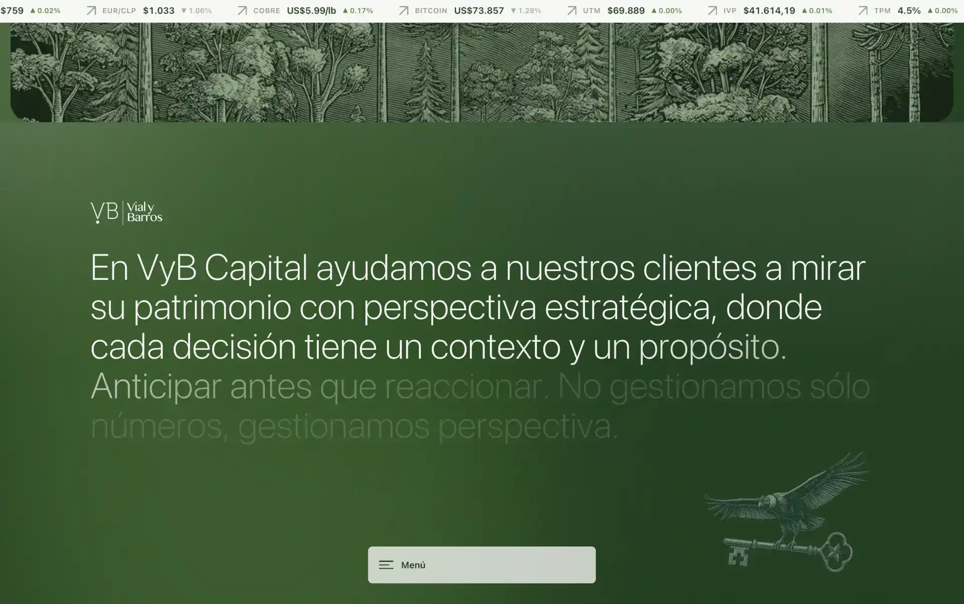 VyB Capital gallery