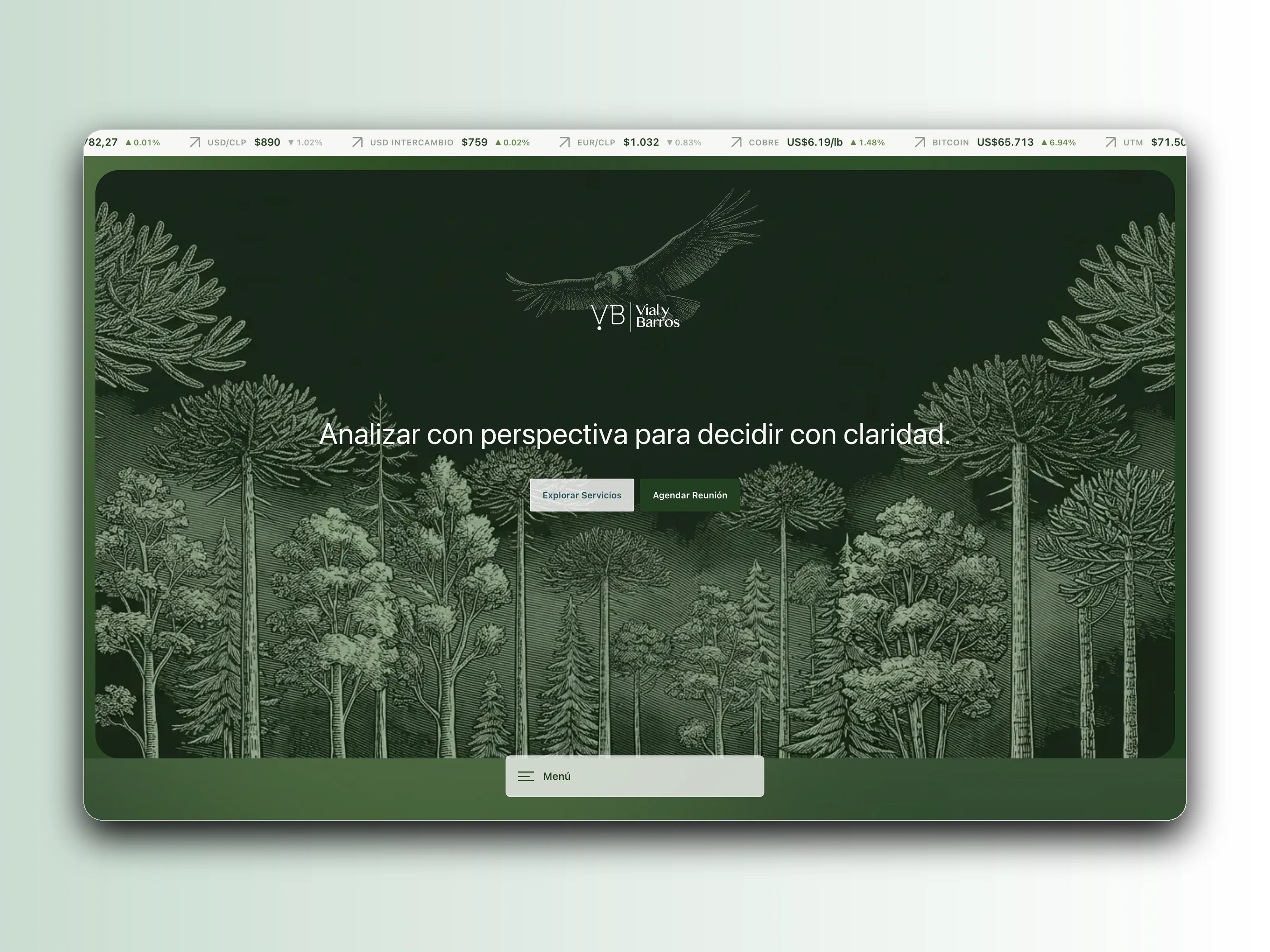 VyB Capital homepage